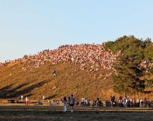 Kein Megakonzert und trotzdem voll: Vom Buga-Berg hatten die Messestädter und unser Fotograf beste Sicht. (Foto: Eva Döring)
